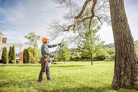 Reliable St Paul Park, MN Tree Removal and Landscaping Services Solutions